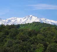 Mont Canigou, 2784 meter hoog